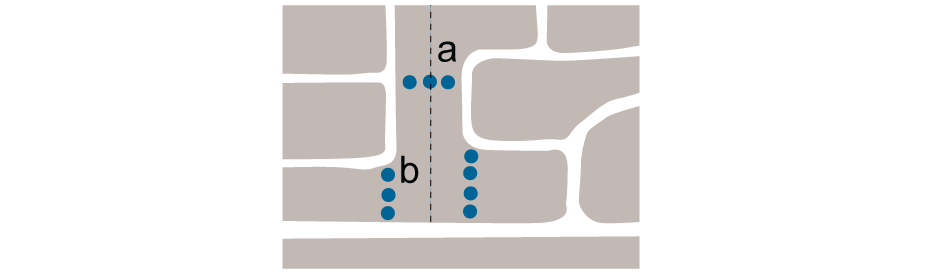 <p>a. Link between adjacent areas without</p><p> b. Multiple accesses preferable to channelling pedestrians and cycles through one vehicular access</p>