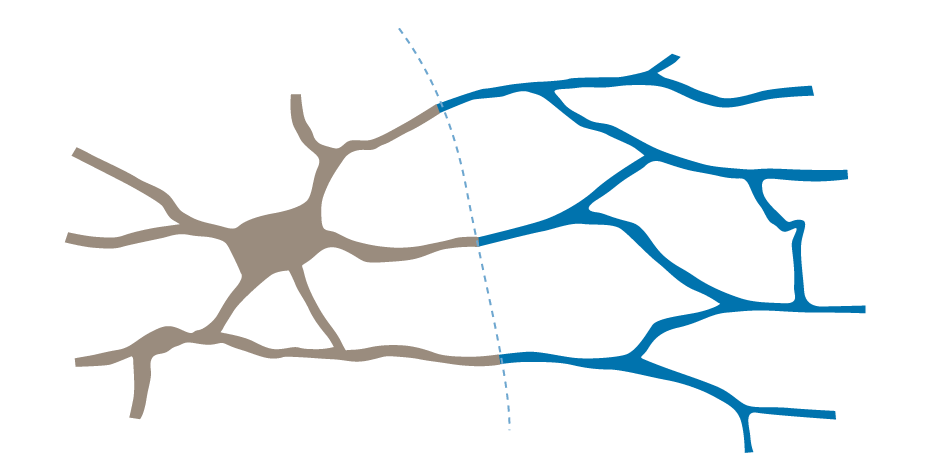 Focus on a core area on a neighbouring site