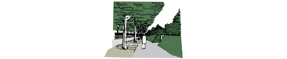 Street scene with avenue of trees