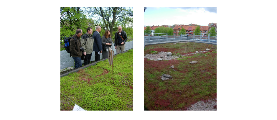 Examples of living roofs