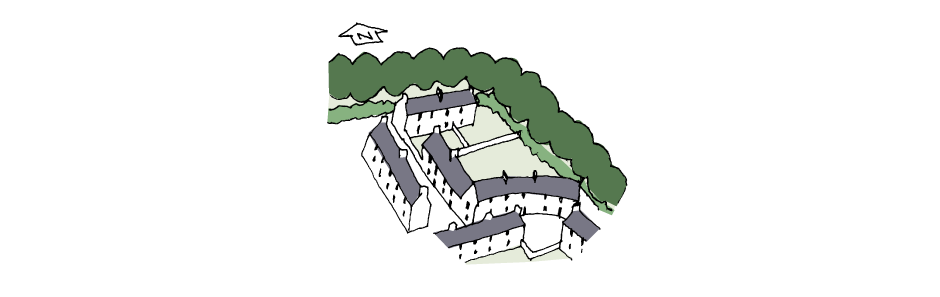 Tree, under-storey and hedge scheme for screening, shelter, access and wildlife