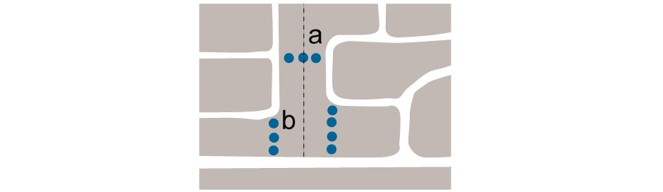 <p>a. Link between adjacent areas without</p><p> b. Multiple accesses preferable to channelling pedestrians and cycles through one vehicular access</p>