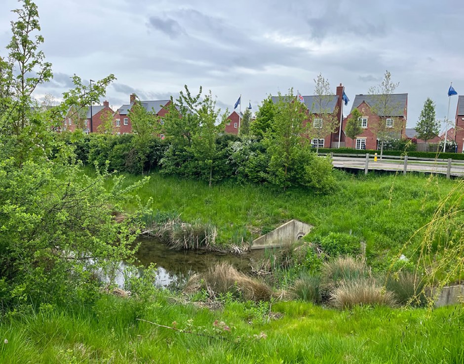 Existing ponds and ecology have influenced the creation of green corridors and wildlife migration routes. These are positively integrated and become multi-functional and biodiverse spaces and attractive setting for new homes. Houlton, Rugby