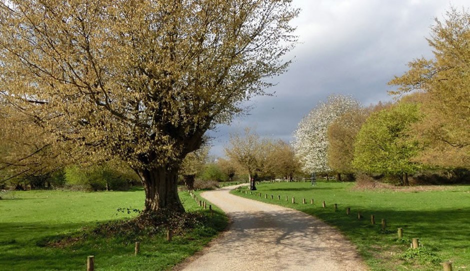 Hatfield Forest