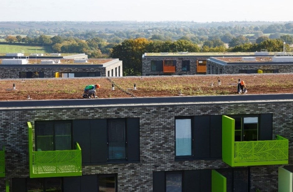 Temple Farm green roofs