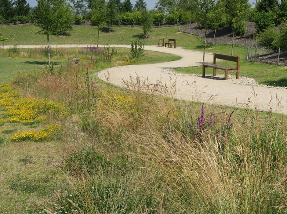 A linear swale with biodiverse planting integrated into a local park space.