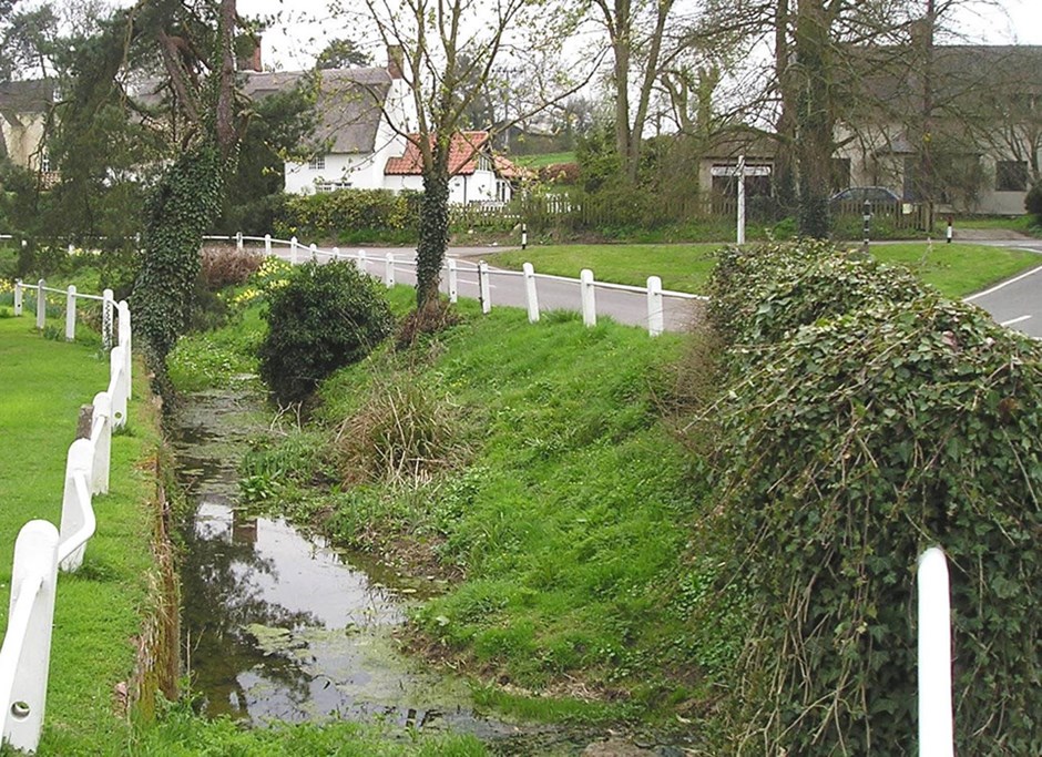 Specie rich verges and streams in the Arkesden chalk upland.