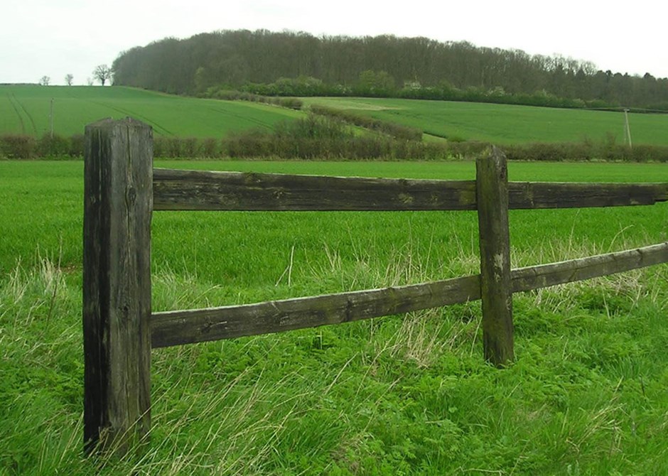 Developments within farmland plateau must manage and conserve existing woodland, hedges and other habitats as pictured above in the Ashdon farmland plateau area.
