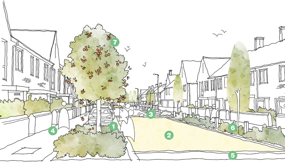 Illustrative sketch for a successful Local Street.