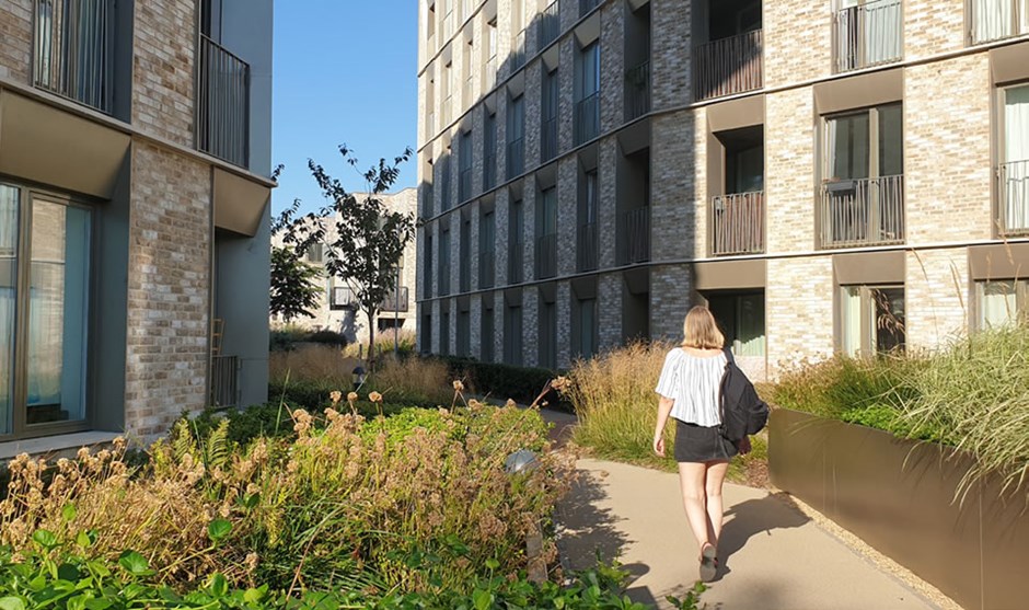 Eddington, Cambridge.