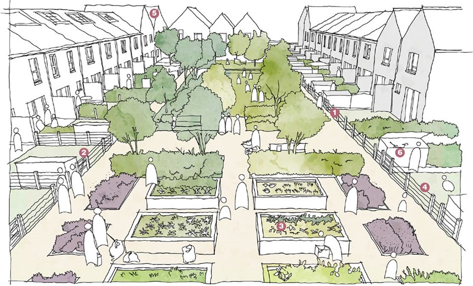 Illustrative view of a successful communal garden.