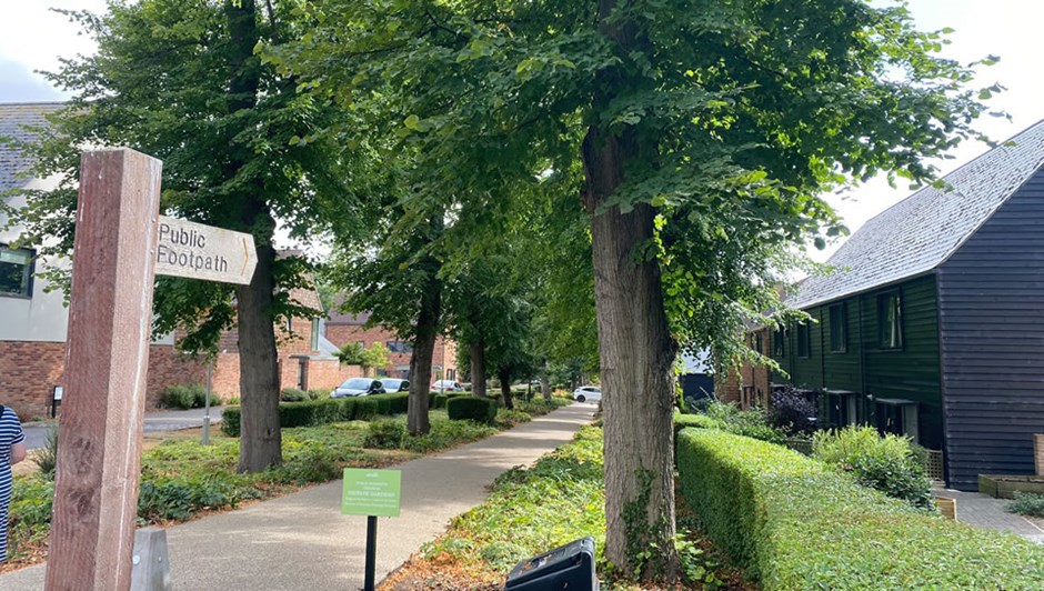 Segregated pedestrian and cycle route created within the place-defining lime-tree avenue. The path is well-overlooked and integrated with homes on both sides bringing residents closer to nature.